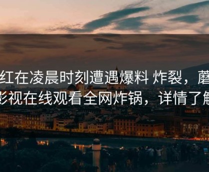 网红在凌晨时刻遭遇爆料 炸裂，蘑菇影视在线观看全网炸锅，详情了解
