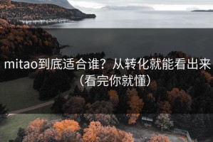 mitao到底适合谁？从转化就能看出来（看完你就懂）