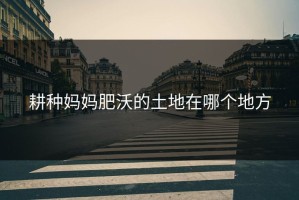 耕种妈妈肥沃的土地在哪个地方