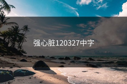 强心脏120327中字