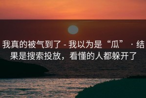 我真的被气到了 - 我以为是“瓜” · 结果是搜索投放，看懂的人都躲开了