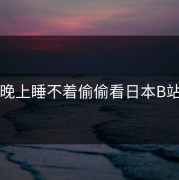 晚上睡不着偷偷看日本B站