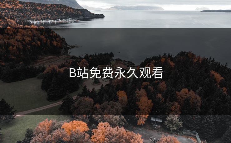 B站免费永久观看