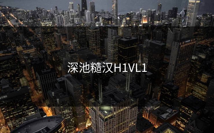深池糙汉H1VL1