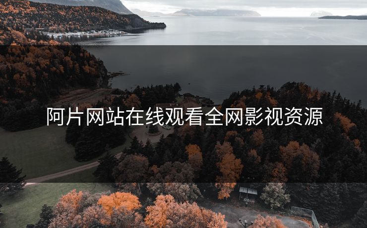 阿片网站在线观看全网影视资源