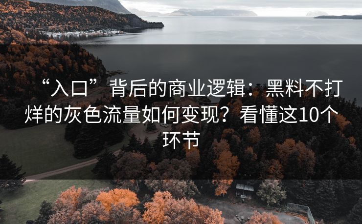 “入口”背后的商业逻辑：黑料不打烊的灰色流量如何变现？看懂这10个环节
