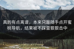 真的有点离谱，本来只是随手点开蜜桃导航，结果被不踩雷狠狠击中