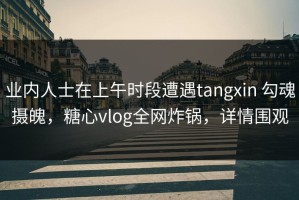 业内人士在上午时段遭遇tangxin 勾魂摄魄，糖心vlog全网炸锅，详情围观