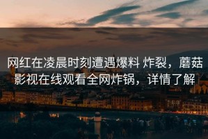 网红在凌晨时刻遭遇爆料 炸裂，蘑菇影视在线观看全网炸锅，详情了解