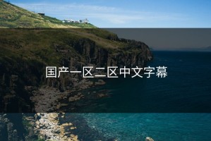国产一区二区中文字幕