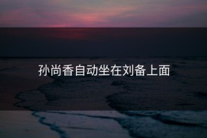 孙尚香自动坐在刘备上面