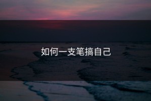 如何一支笔搞自己
