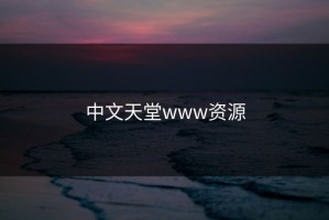 中文天堂www资源
