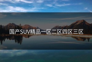 国产SUV精品一区二区四区三区