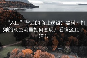 “入口”背后的商业逻辑：黑料不打烊的灰色流量如何变现？看懂这10个环节