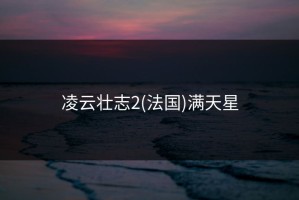 凌云壮志2(法国)满天星