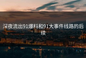 深夜流出91爆料和91大事件线路的后续