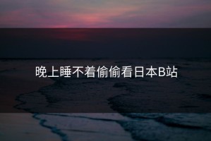 晚上睡不着偷偷看日本B站