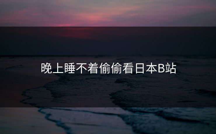 晚上睡不着偷偷看日本B站