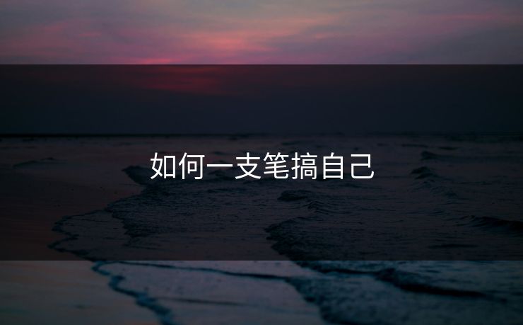 如何一支笔搞自己