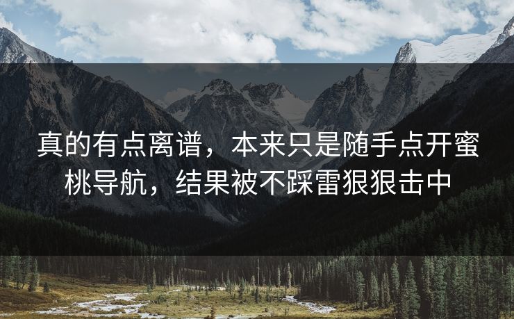 真的有点离谱，本来只是随手点开蜜桃导航，结果被不踩雷狠狠击中