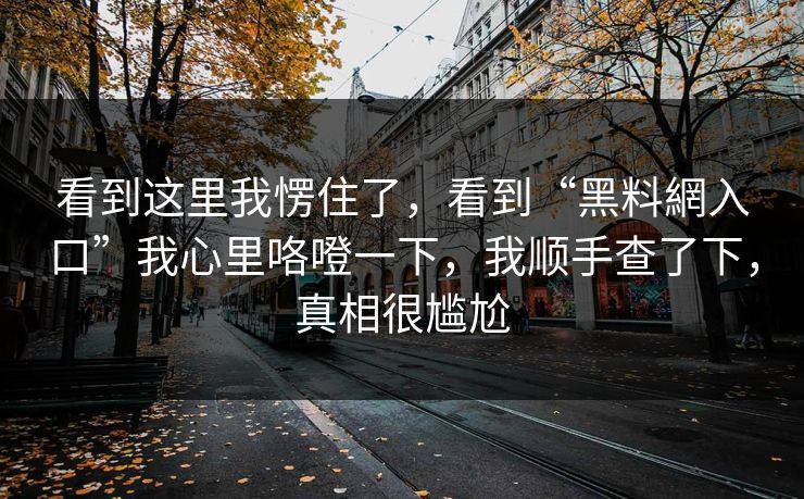 看到这里我愣住了，看到“黑料網入口”我心里咯噔一下，我顺手查了下，真相很尴尬